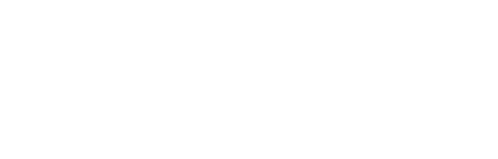 Dunedin Pavers Pros