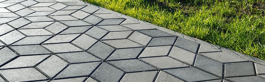 dunedin paving day